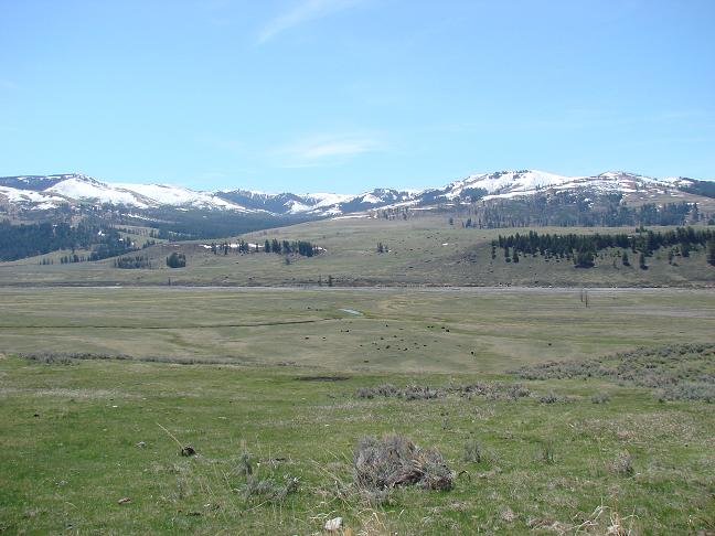 d0251307_1494543.jpg