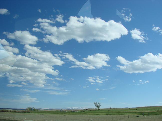 d0251307_157196.jpg