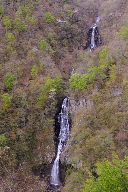 d0211108_42419100.jpg