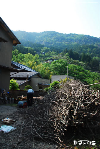 e0207511_21295425.jpg