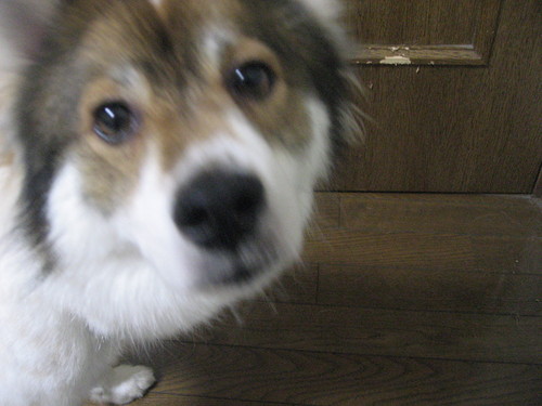 e0254813_10102771.jpg