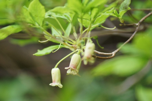 c0042418_8573413.jpg