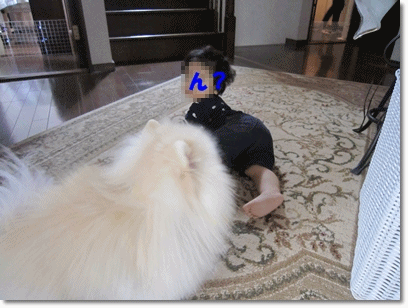 b0167519_1421798.gif