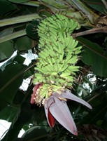 a0043520_8542128.jpg
