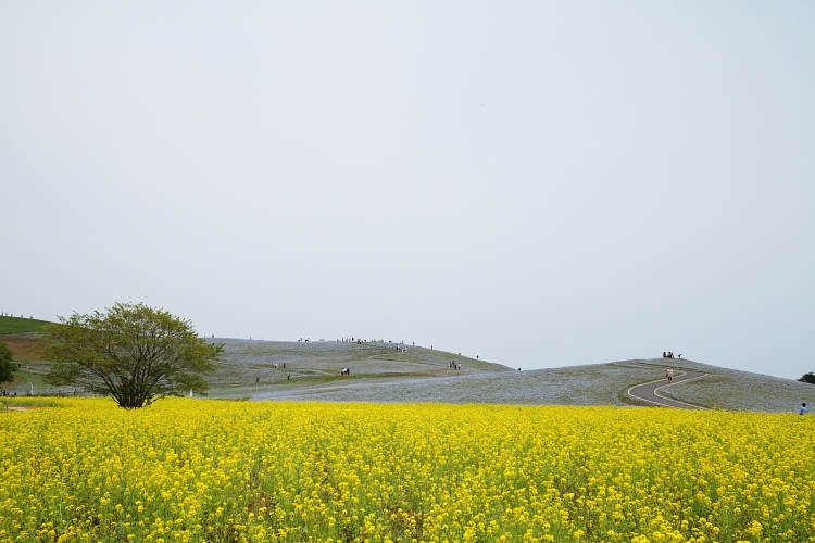 b0249720_2220512.jpg