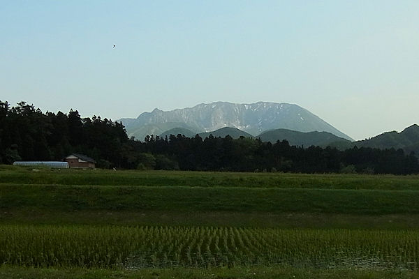 f0007926_121393.jpg