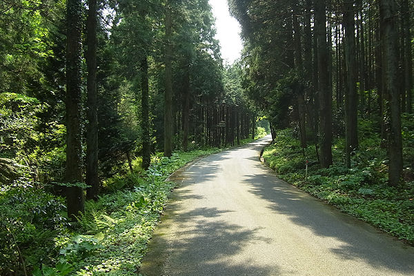 f0007926_1224410.jpg