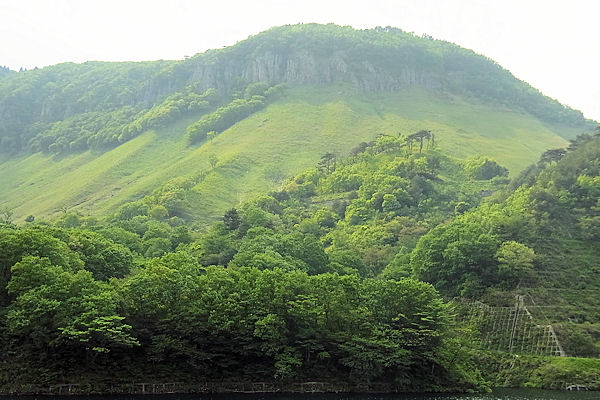 f0007926_124227.jpg