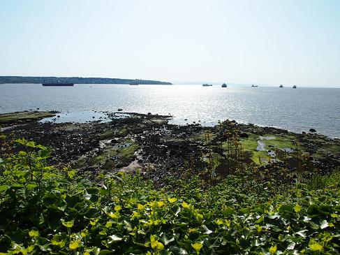 f0111926_14172866.jpg