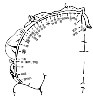 b0159328_21161344.png
