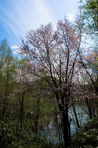 e0025030_1053341.jpg
