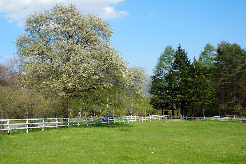 b0179231_044449.jpg