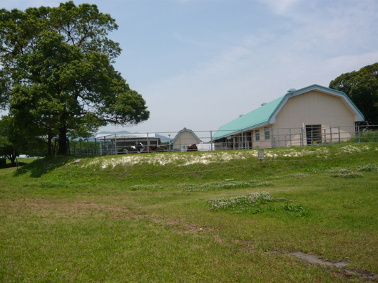 a0206332_9412331.jpg