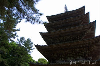 c0133533_0123131.jpg