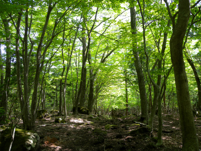 e0272335_12422530.jpg
