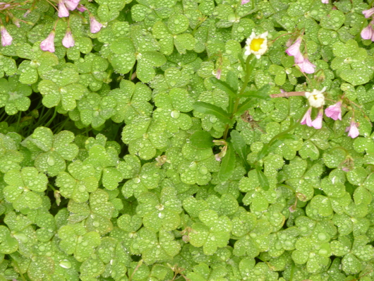 d0174037_22402031.jpg