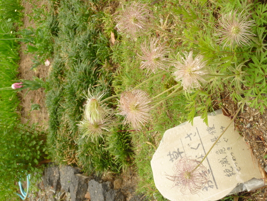 d0174037_2241733.jpg