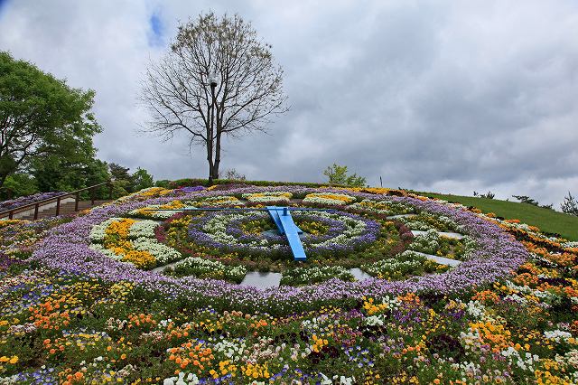 a0242438_2315212.jpg
