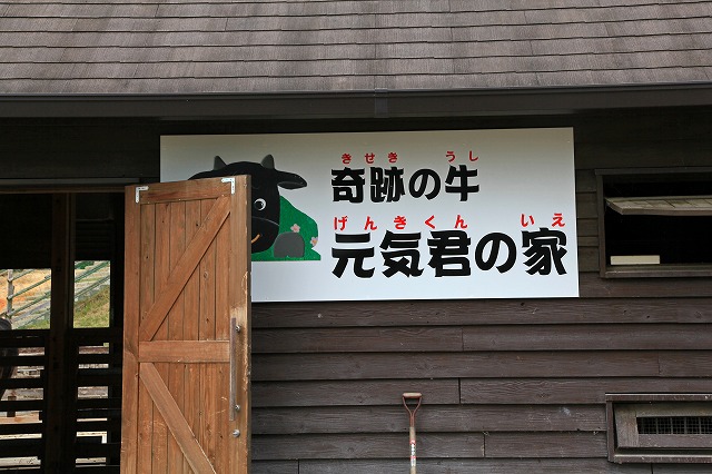 a0242438_2342066.jpg