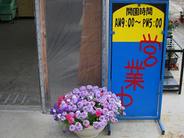 a0242438_2354619.jpg