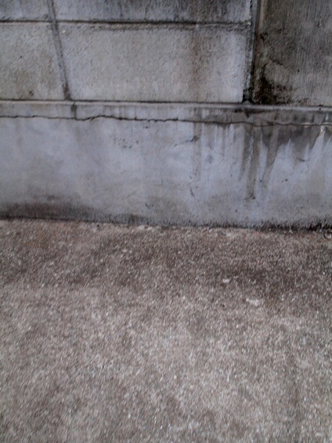 c0177238_17201885.jpg