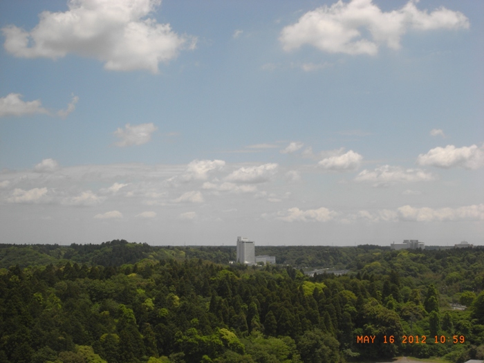c0022340_6172486.jpg