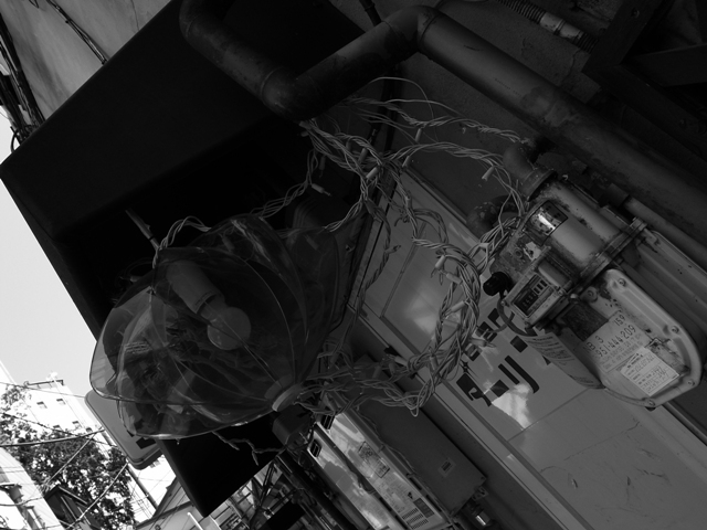 a0087341_1342217.jpg
