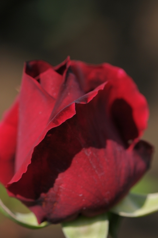 e0095142_1937118.jpg