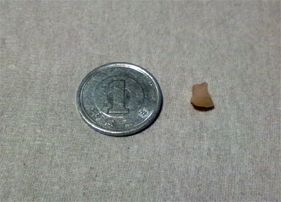 d0151443_2156516.jpg