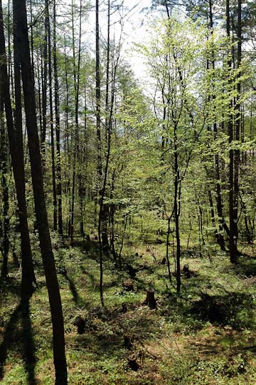d0008146_23292784.jpg