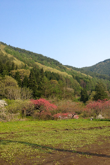 d0008146_23294671.jpg