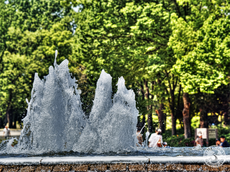 b0135347_001729.jpg