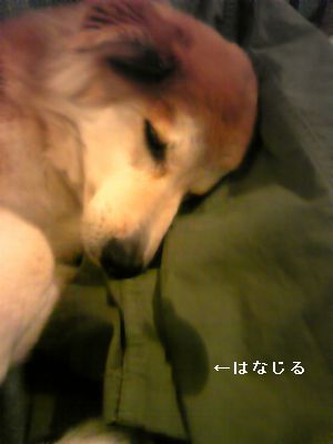 e0019550_10503086.jpg