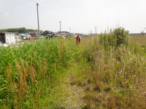 c0179351_2143234.jpg