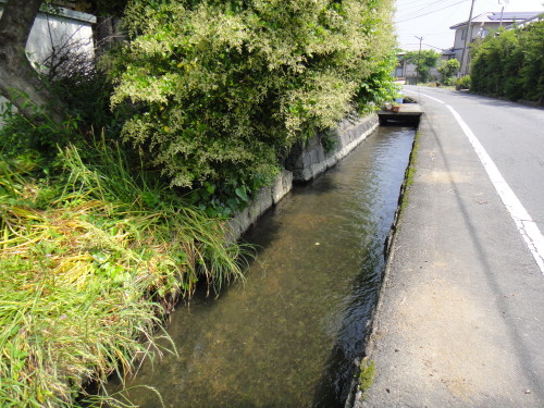 c0179351_21445060.jpg