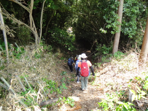 c0179351_21453534.jpg