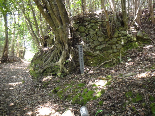 c0179351_21465537.jpg