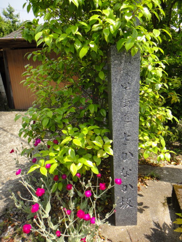 c0179351_21483144.jpg