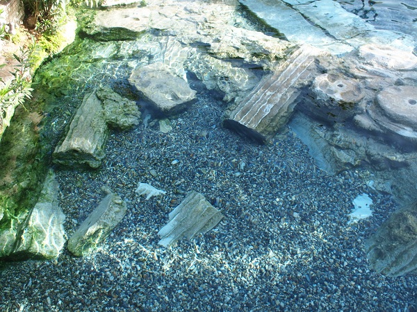 d0081357_23173789.jpg