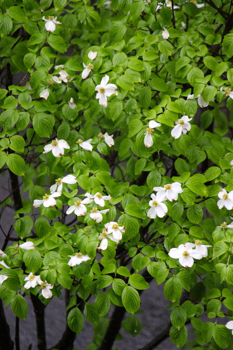 a0248459_3241641.jpg