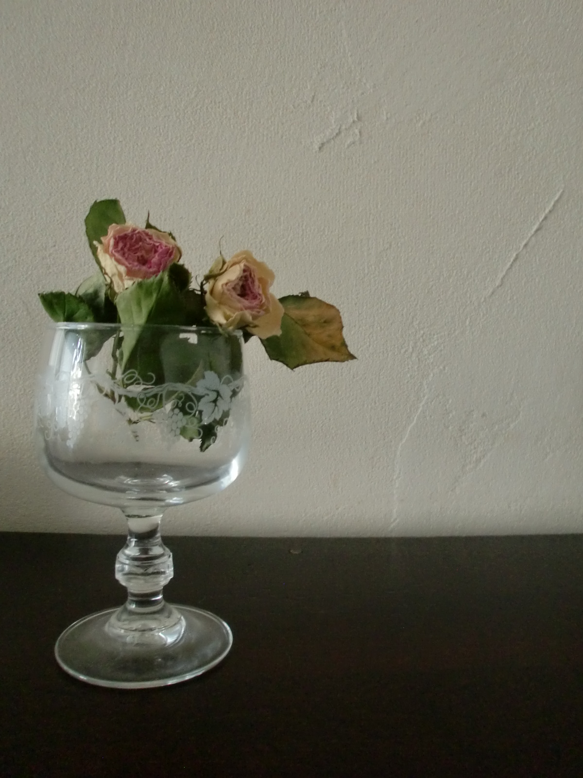 c0172261_956672.jpg