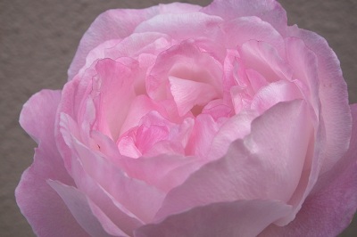 e0225164_646714.jpg