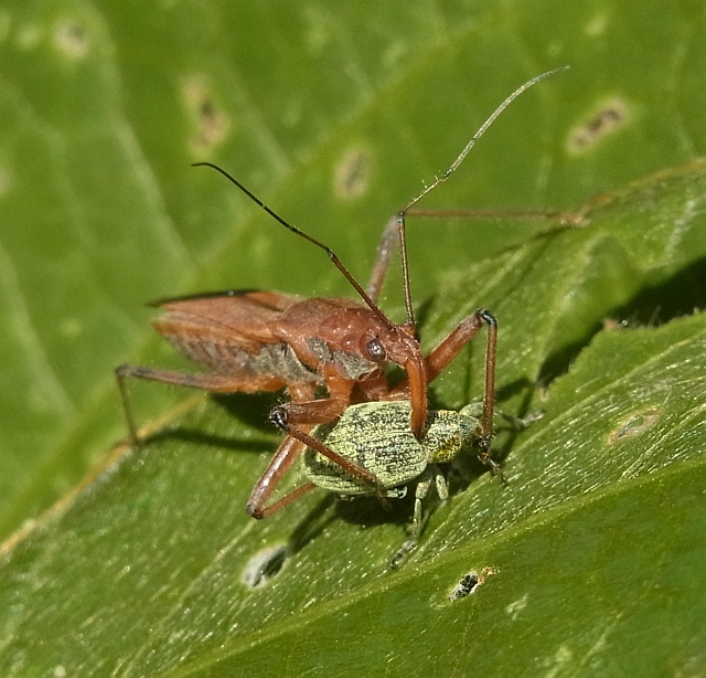 b0070071_6215465.jpg