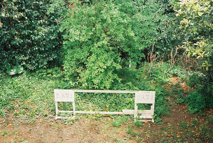 e0164571_1592719.jpg