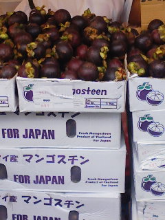 f0112873_2284912.jpg