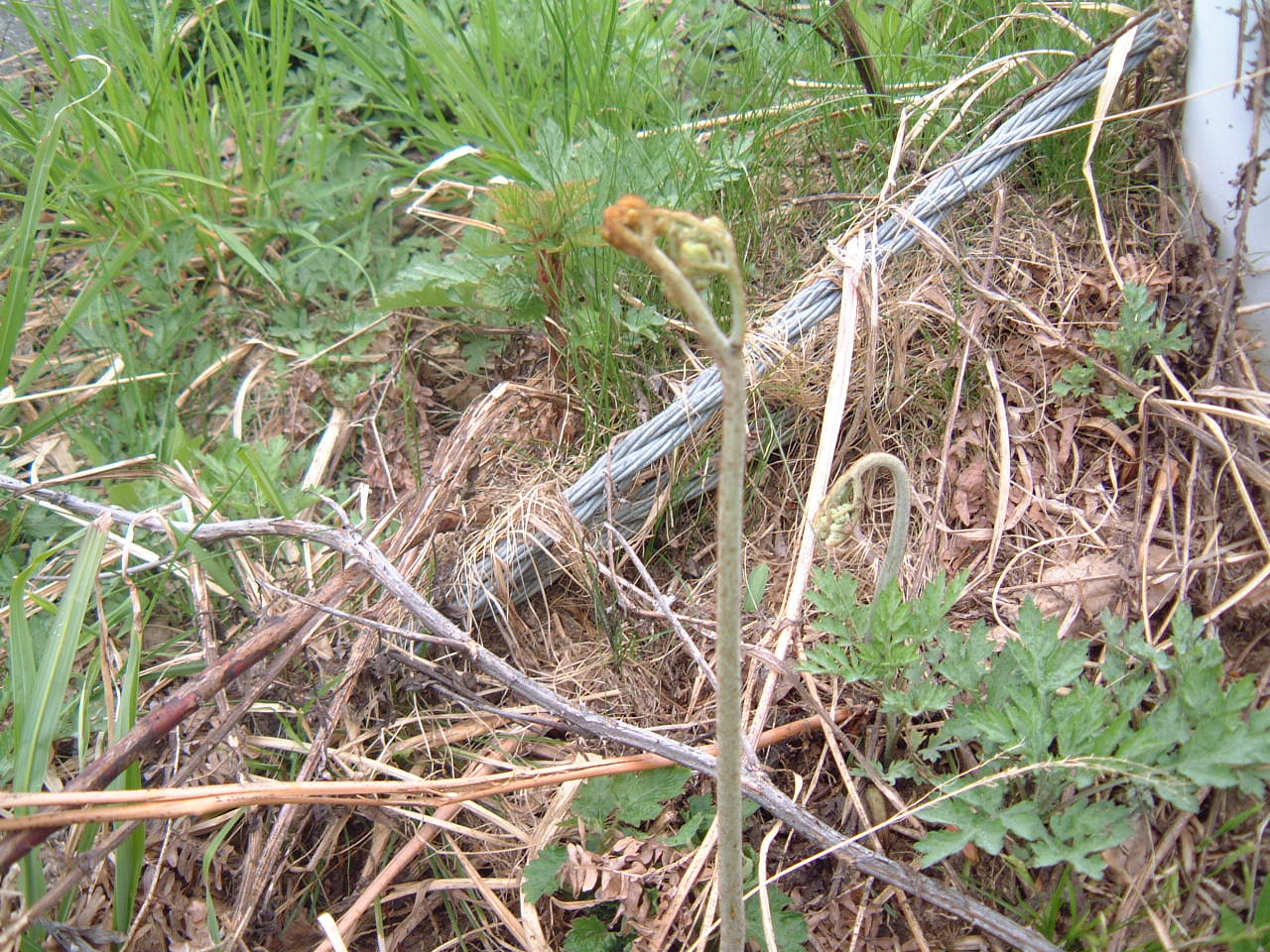 c0237780_15245355.jpg