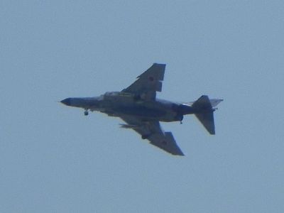 d0155582_2140329.jpg