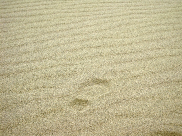 a0170084_10414795.jpg
