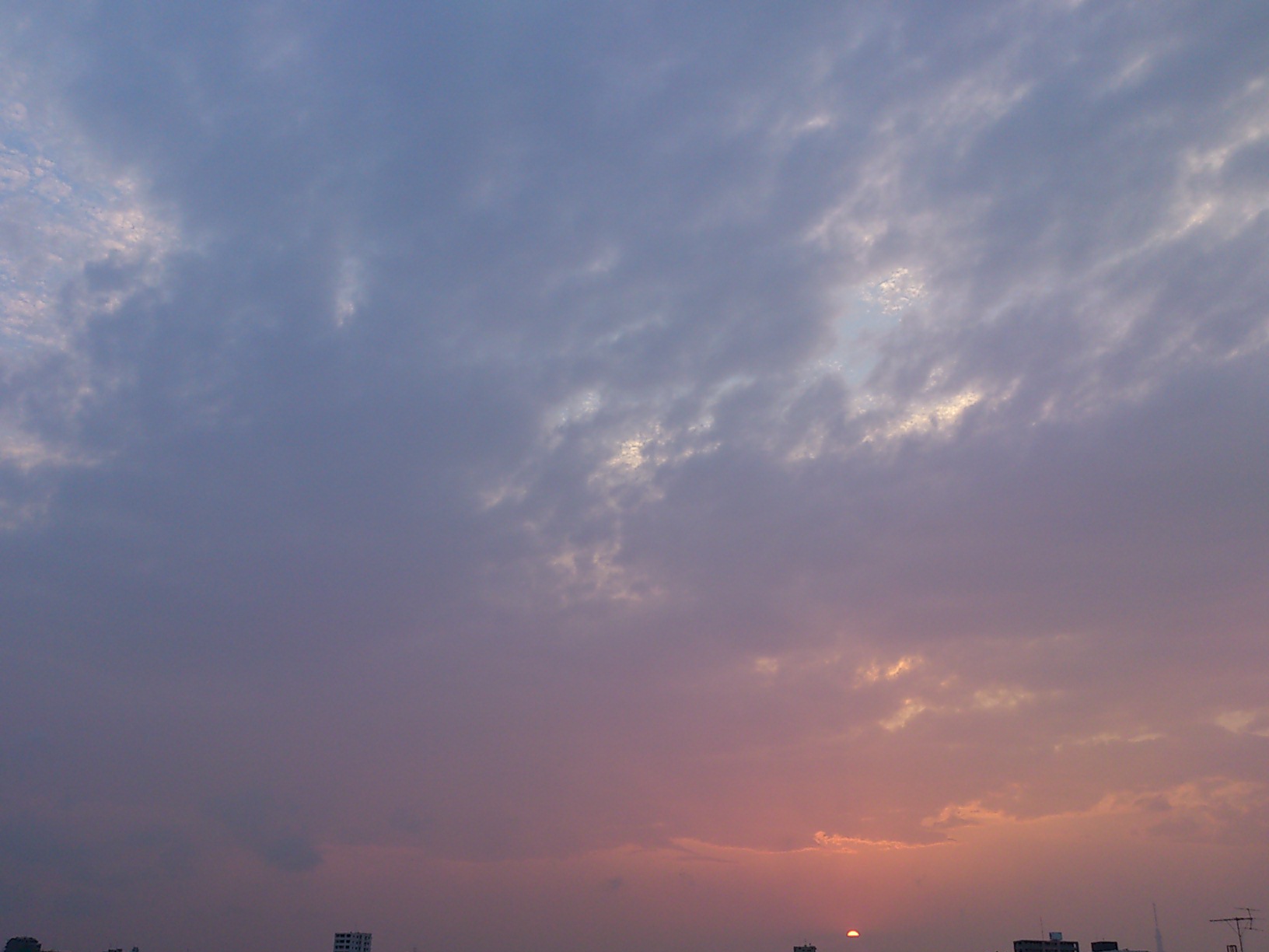 a0077185_23251544.jpg