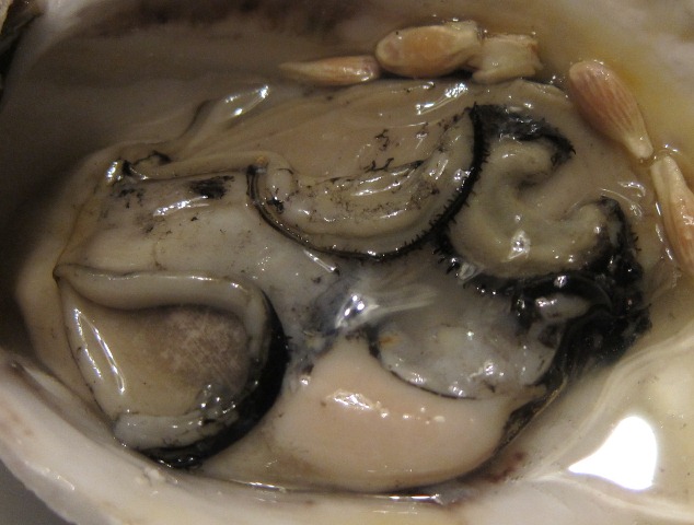 f0106190_19411556.jpg